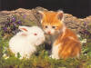 chat_01