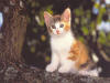 chat_02
