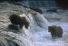 ours_01