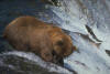 ours_03