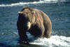 ours_04