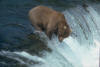 ours_05