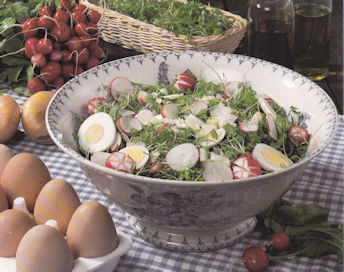 salade_des_beaux_jours