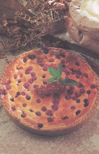 flan_de_semoule_aux_groseilles