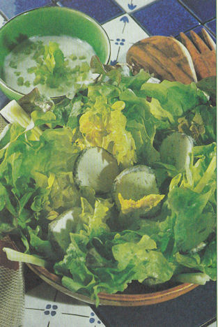 chicoree_au_chevre