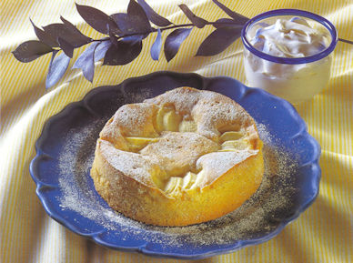 gateau_cocotte_aux_pommes