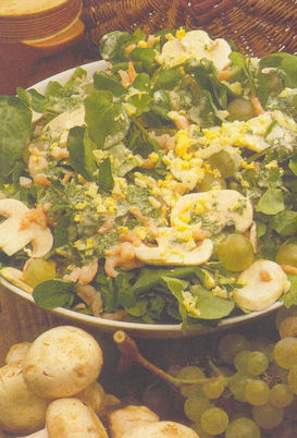 salade_du_vigneron
