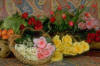 roses_04