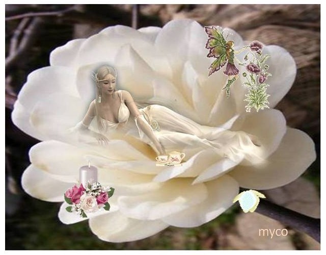 kdo_myco