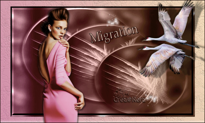 migration